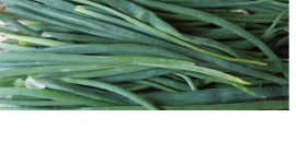 Chives producer 0.88 PLN per bunch (30 g) Chives