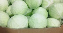 I will sell white cabbage market caliber 1-4kg packaging