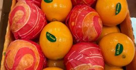 Orange, Mandarin, Lemon, Pomegranate, Potato From Egypt, Cyprus, Turkey,