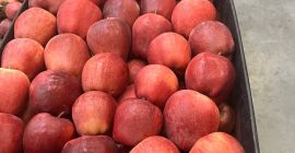 Продаем яблоки разных сортов по разным ценам. Цена от