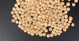 We are happy to offer you green lentils type