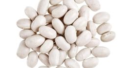 Kupimy fasolę suszoną dużą i średnią w opakowaniach 25/10