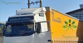 Само мајчина душица: [ирански ширази тимијан] Представљамо вам висок