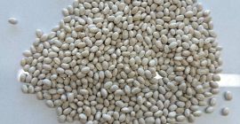 Good day! Dear customers, We are the company: FLAX
