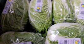 The Polish company MM TRADE CONSULTING offers cabbage from