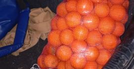 High quality palm juice oranges from the river are
