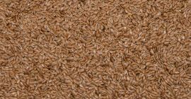 Good day, I will sell brown and golden flaxseed.