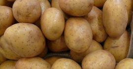 Table potatoes – wholesale of the highest quality We