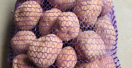 Potatoes for consumption, Melody, Catania, Jurek, Mariola, Michalina, Bellarose,
