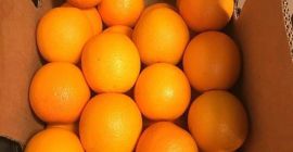 Hello, I offer the Valencia variety, country of origin