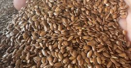 Verkaufe braunen Flachs für den Export 99,9% Feuchtigkeit bis
