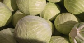 НУДИМ НА ПРОДАЈУ БЕЛИ КУПУС ПОЛСКОГ ИЛИ НЕМАЧКОГ ПОРЕКЛА.