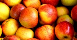 OFFER FOR PURCHASE OF APPLES FOR CONSUMPTION AND INDUSTRIAL