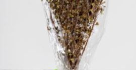 BIO-Oregano in 30g-Bündeln Unser Oregano ist ein gezüchteter Oregano,