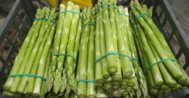 Vand sparanghel verde, celadon, din aprilie