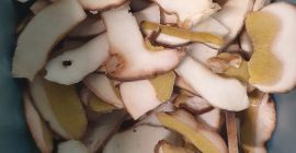 Sliced boletus edulis, top quality