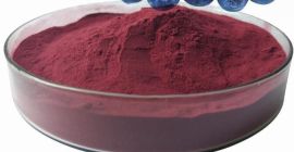 hochwertiges Bio-Produkt aus Bergheidelbeeren in gefriergetrockneter Form mit Bio-Zertifikat.
