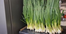 I will sell finger chives from the ground. Transport