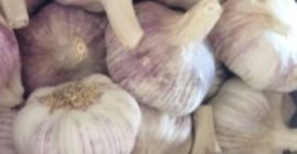 Hello, I will buy Polish spring garlic in small