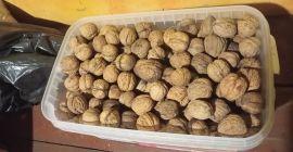 Ich verkaufe Bio-Walnüsse in der Schale, Menge wie auf