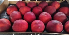Bei MWT vereinfachen wir Ihren Beschaffungsprozess: 5-kg-Exportkartons und Holzkisten