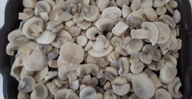 I will sell frozen mushrooms in slices, cubes, or