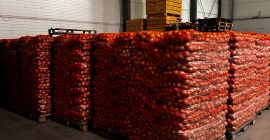 I will sell yellow onions, 15 kg bags, caliber