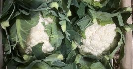 Здравствуйте, мы доставляем свежие овощи и фрукты из Польши
