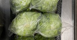 Salată verde Rosso Bianco proaspătă, direct din câmp. Livrare