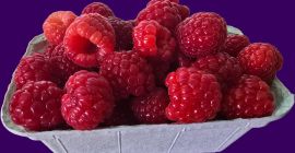Guten Tag, wir verkaufen Himbeeren der Sorte ENROSADIRA von