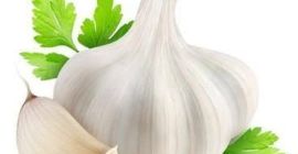✅ Hochwertiger getrockneter Knoblauch aus Ägypten für den Export