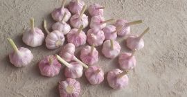 Dried Garlic 2025 Start Export from Uzbekistan red garlic