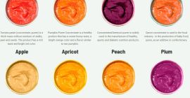 Puree / Concentrated juice export from Uzbekistan Concentrated puree