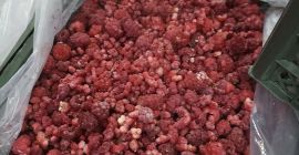 Свежий вкусный абрикос урюк