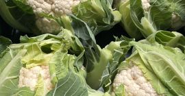 For sale fresh cauliflower 6pcs/box. About 30 pallets of