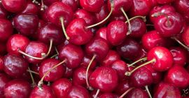 Hello, I have a large quantity of Cherries for