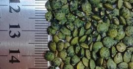 Tiraspol Bread Products Plant CJSC sells Puy marble lentils,