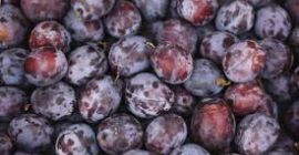 We Buy Industrial Plums We are not concerned about