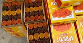 Raisins black, yellow, brown Dried Apricot natural Fresh Apricot