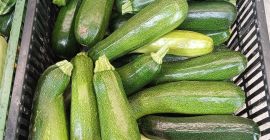 Zucchini zu verkaufen. Verschiedene Sorten frischer Landa. Was die
