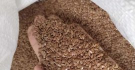 Wir verkaufen braunen Flachs. 1000 Tonnen. Big Bag Verpackung.