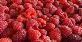 In vendita: lamponi extra 95/5, 90/10, ribes neri puliti