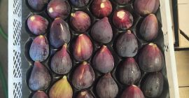 I&#39;m selling packaged and refrigerated natural figs. If you&#39;re
