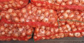 Продајем црни лук пакован у врећама од 25 кг
