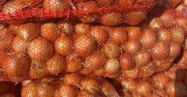 Der Hersteller verkauft Zwiebeln der Ernte 2025 dauerhaft zur