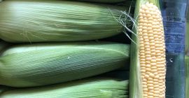 Добро јутро, продајем велике количине кукуруза шећерца. За више
