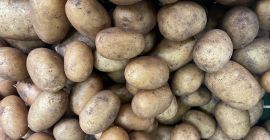 Selling : Onion , Carrotes, Parsnip , Potatoes 10kg