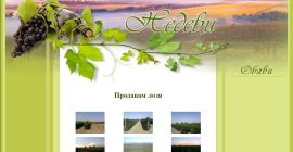 Muscat, Chardonnay - starting from 1.09.25 Merlot - starting