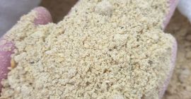 Siamo lieti di offrirvi una gamma di mangimi di