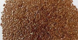 We offer export supplies of oilseeds Our group of